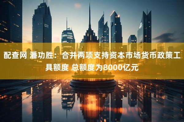 配查网 潘功胜：合并两项支持资本市场货币政策工具额度 总额度为8000亿元