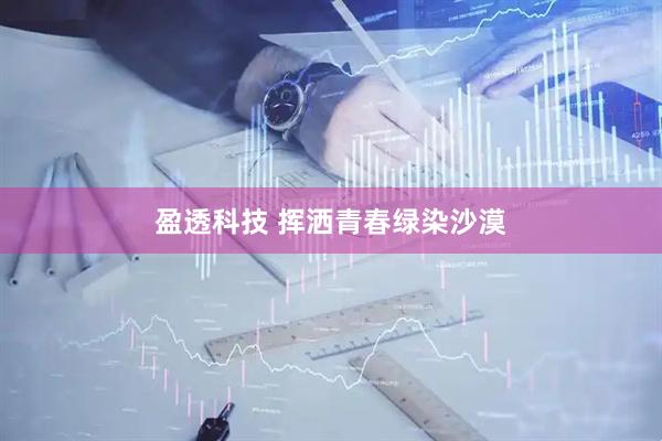 盈透科技 挥洒青春绿染沙漠