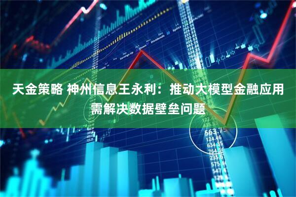 天金策略 神州信息王永利：推动大模型金融应用需解决数据壁垒问题
