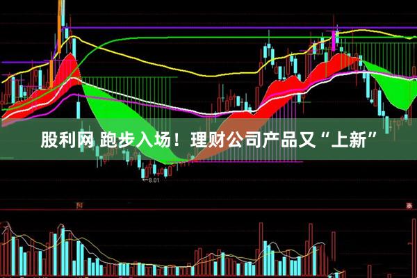 股利网 跑步入场！理财公司产品又“上新”