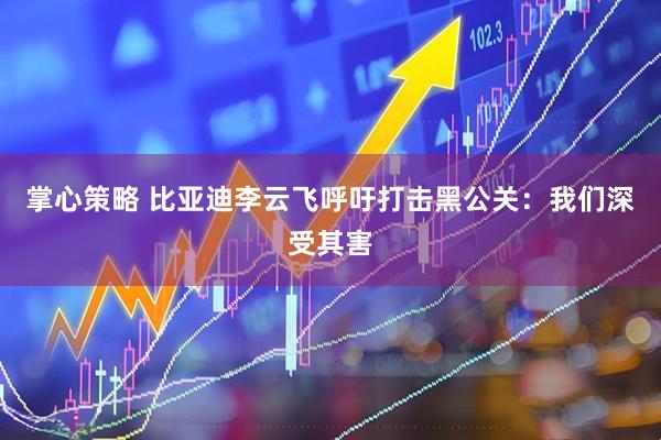 掌心策略 比亚迪李云飞呼吁打击黑公关：我们深受其害