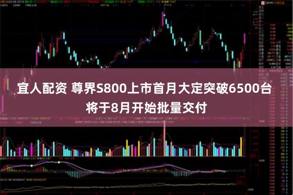 宜人配资 尊界S800上市首月大定突破6500台 将于8月开始批量交付
