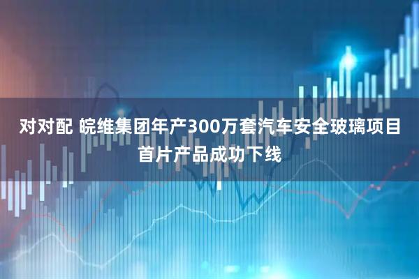对对配 皖维集团年产300万套汽车安全玻璃项目首片产品成功下线