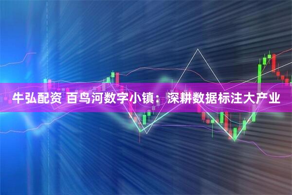 牛弘配资 百鸟河数字小镇：深耕数据标注大产业