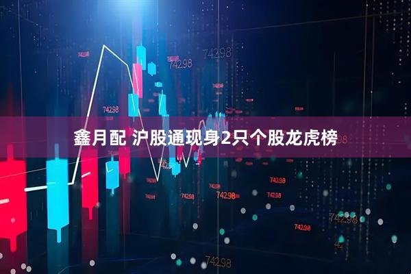 鑫月配 沪股通现身2只个股龙虎榜