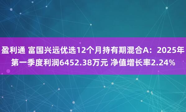 盈利通 富国兴远优选12个月持有期混合A：2025年第一季度利润6452.38万元 净值增长率2.24%