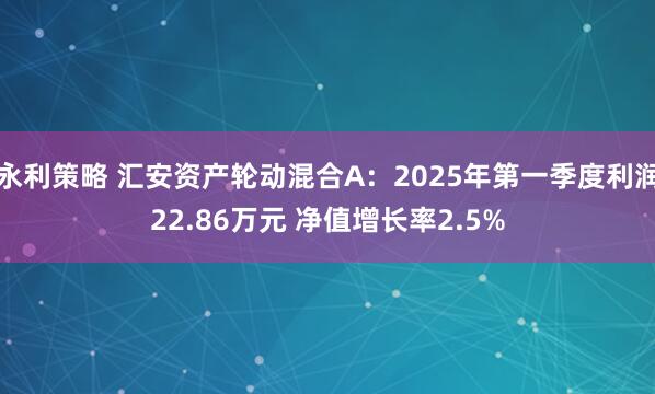 永利策略 汇安资产轮动混合A：2025年第一季度利润22.86万元 净值增长率2.5%