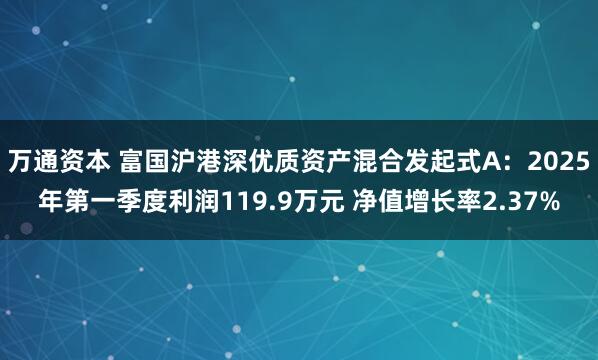 万通资本 富国沪港深优质资产混合发起式A：2025年第一季度利润119.9万元 净值增长率2.37%