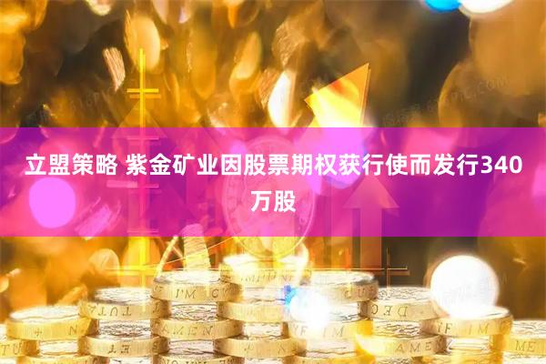 立盟策略 紫金矿业因股票期权获行使而发行340万股